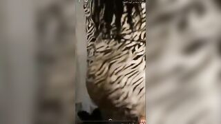 فيلم سكس انطونيو سليمان مع ممحونة تخون زوجها