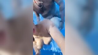 شرموطة سورية مع شاب مصري بتمصله وتتفشخ نيك عنيف